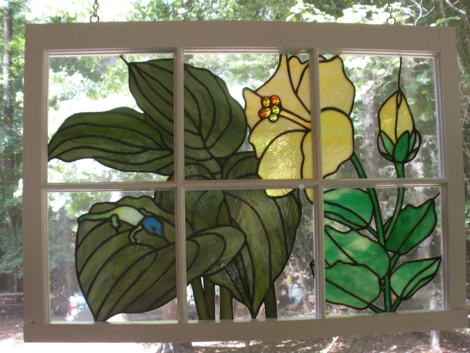 Yellow flower window — original photograph