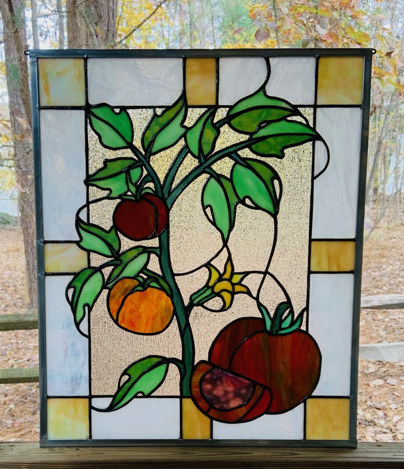 Apple branch window panel — original photograph